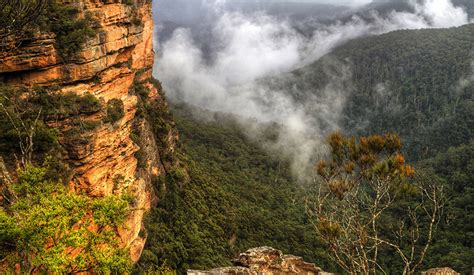 Desktop Wallpapers Sydney Australia Blue Mountains Cliff Nature