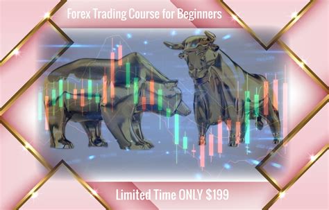 forex trading for beginners fx basics 2022 guide hot sex picture