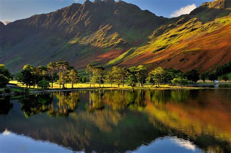 The Buttermere Pines Lake District Lake District National Park Lake
