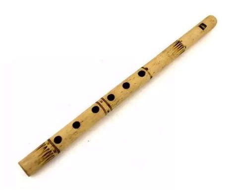 Termasuk kedalam jenis alat musik tiup, flute masuk kategori alat musik keluarga kayu. Alat Musik Tradisional dan Modern Disukai oleh Musisi