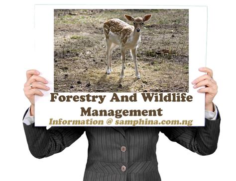 JAMB Subject Combination for Forestry and Wildlife Management
