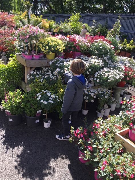 A traditional garden centre in the heart of north london. Ladybirds Visit The Camden Garden Centre - Primrose Hill ...