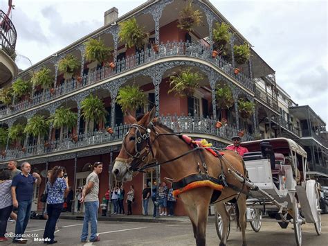 Visiter La Nouvelle Orleans Que Faire Et Voir En 7 Coups De Coeur