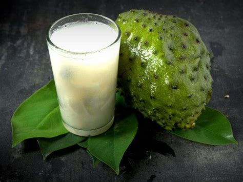 Sirsak atau durian belanda dapat dijadikan juice. Khasiat Durian Belanda Terbukti Berkesan Cegah Banyak ...