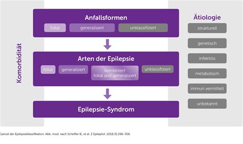 Anfallsform Und Art Der Epilepsie Klassifizierung Ucbcares