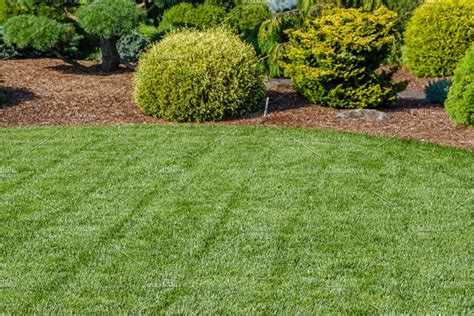 Grassy Lawn With Hedges High Quality Nature Stock Photos Creative