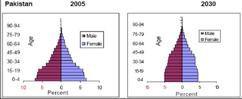 Population Pyramid In Pakistan By 2030 Download Scientific Diagram