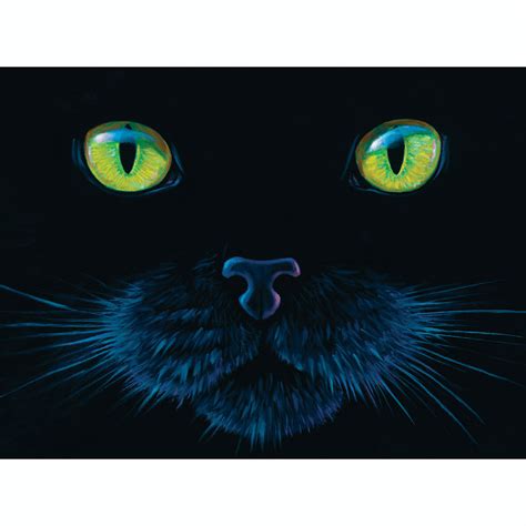 This is a high quality 1000 piece jigsaw puzzle from heye. Black Cat Face 1000 Piece Jigsaw Puzzle | Spilsbury