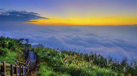 Sale Discover Alishan Mountain Ticket Kd