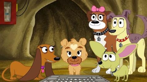 The pound puppies is a group of dogs who spend most of their time at shelter 17. Pound Puppies 2010 Wiki | FANDOM powered by Wikia