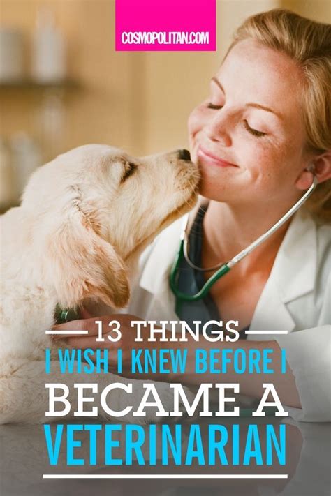 What I Wish I Knew Before I Became A Veterinarian How To Become A Vet