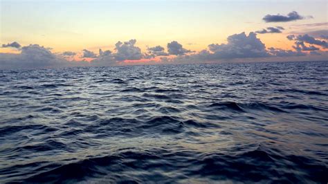 Open Seas Open Water Ocean Waves During Sunset Golden Hour Time Stock