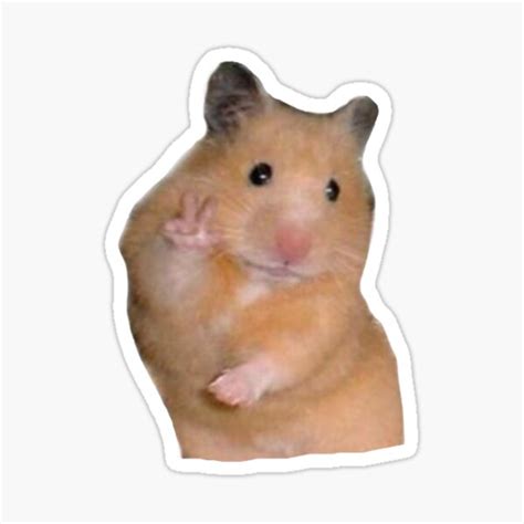 Hamster Holding Peace Sign Meme Sticker By Smileystickeers Redbubble
