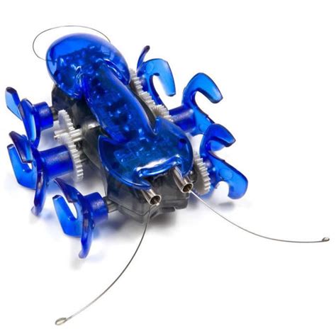 Robot Insecte Hexbug Ant Bleu De Innovation First Bestofrobots