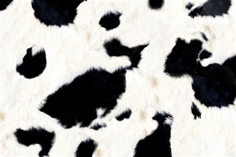 Cow Print Wallpaper For Mobile Phone Tablet Desktop Computer And