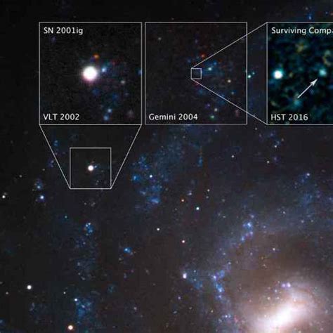 Hubble Ha Fotografato La Prima Stella Sopravvissuta A Una Supernova In