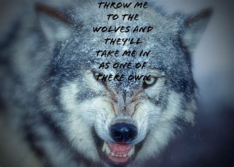 Wolf Quote Quotes Wolves Hd Wallpaper Peakpx