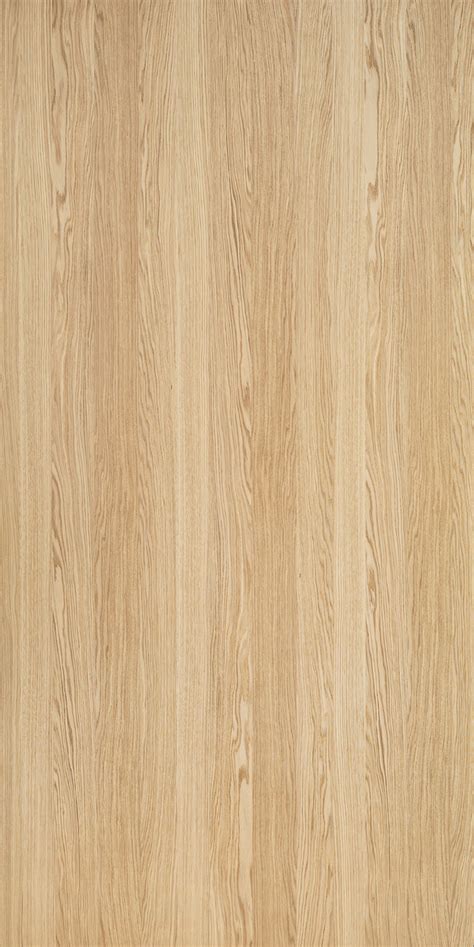They're totally sealed off by tyloses. FREE 13 plaats of WOOD Texture - OAK NATURAL ALLEGRO on ...