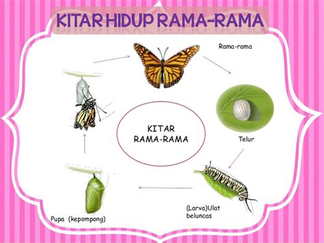 Dunia Sains Dan Teknologi Belajar Dengan Ceria Dst Tahun 2 Kitar