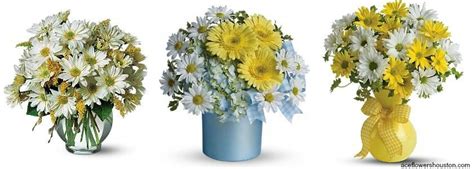 We offer a wide selection of gifts for children and adults alike, including but not limited to home decor, chocolate and candy, jewelry, toys and stuffed animals—and we always have the perfect card for any occasion! #Daisy_Flowers by Ace Flowers﻿ : For more visit @ http ...