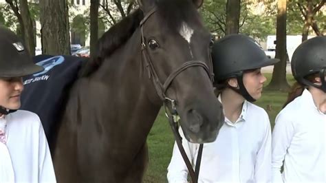 Great Lakes Equestrian Festival Gets Underway Youtube