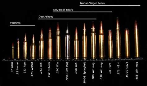 Rod And Barrel • Bullet Caliber Chart For Intended Prey Certainly