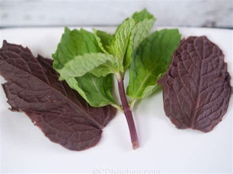 Chocolate Mint Leaves Recipe