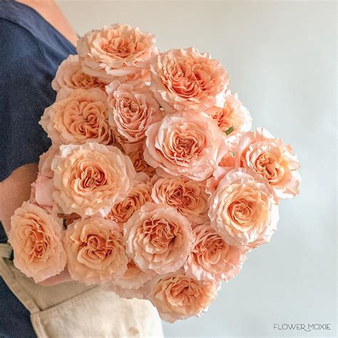 All varieties have been preserved to ensure they will not wilt in the same whether you are decorating houses or making arrangements for a large wedding, alibaba.com has. Shimmer Peach Roses | Bulk Fresh DIY Wedding Flowers ...