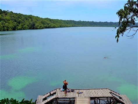 Dan sekaligus untuk menambahkan daya . Bermain Bersama Ubur-ubur di Danau Kakaban | Indonesia ...