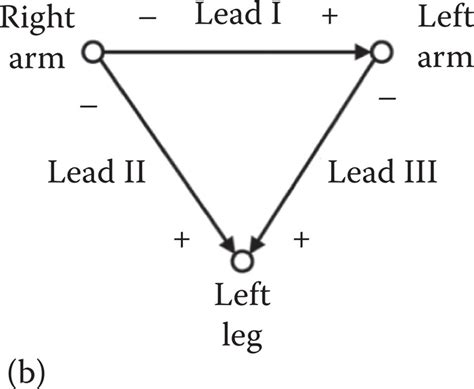 Holter Monitor 5 Lead Placement Diagram Free Wiring Diagram