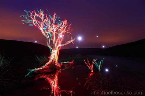 Rooted Michael Bosanko Flickr