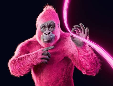 Pink Gorilla Black Neon Pink Monkey Fantasy Maimuta Gorilla Hd