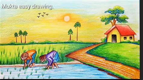 How To Draw Rice Plantation Scenerystep By Stepeasy Draw Youtube
