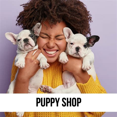 Pet Basics Shop Everyday Pet Supplies To Make Life Better With Pets