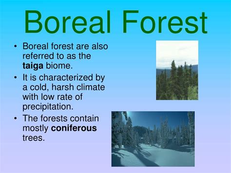 Ppt Biomes Powerpoint Presentation Free Download Id6257836