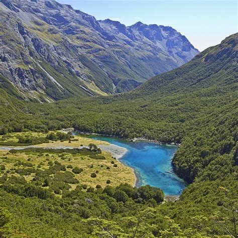 Blue Lake Nelson New Zealand The Clearest Lake In The