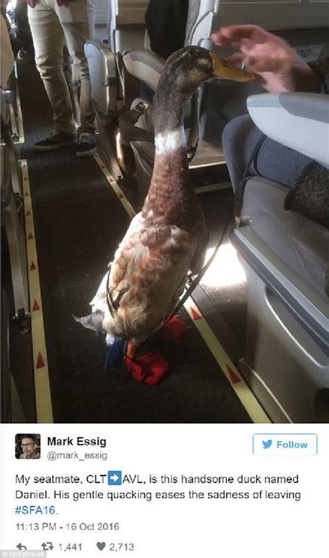Photos Reveal The Weirdest Things Ever Seen On A Plane Daily Mail Online