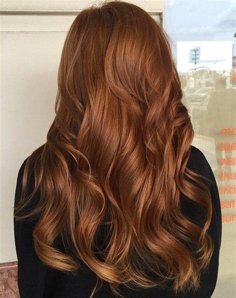 Copper Brown Hair Dye Hong Glynn