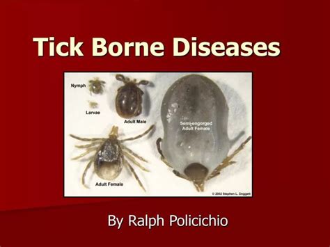 Ppt Tick Borne Diseases Powerpoint Presentation Free Download Id