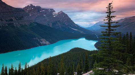Peyto Lake In Canada 4k Ultra Hd Wallpaper Hintergrund 3840x2160