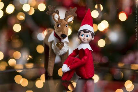 12 Fun Facts About Elf On The Shelf You Never Knew Before Sheknows