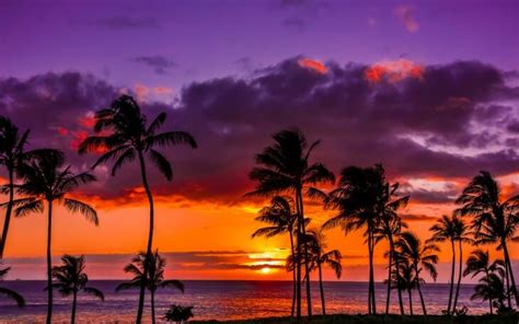 Why Should You Visit Hawaii Once In Your Life My Lifestyle
