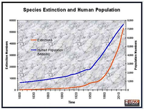 species extinction and human population simcenter