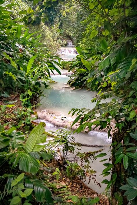 Mele Cascades Waterfall Port Vila Vanuatu Stockfoto Bild Von