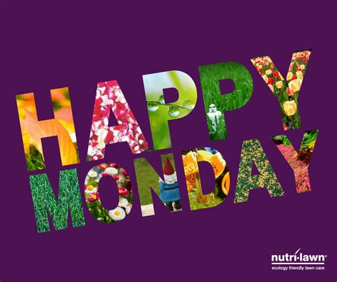 Monday is the perfect time to reboot & make a fresh start! | Lawn care, Happy monday, Nutri