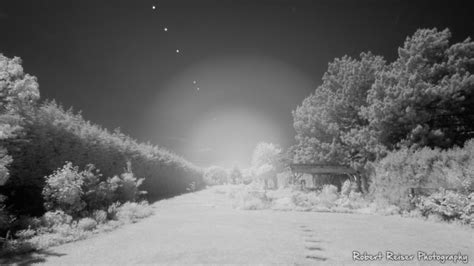 The Infrared Photography Tutorial A Guideline For Your Ideal Ir Solution