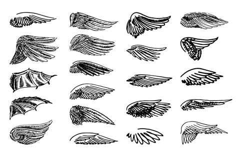 Wings Illustration Set By Artha Graphic Design Studio Thehungryjpeg