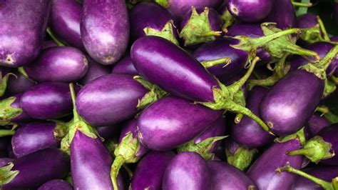 5 Time Tested Steps To Growing Perfectly Purple Eggplant Organic