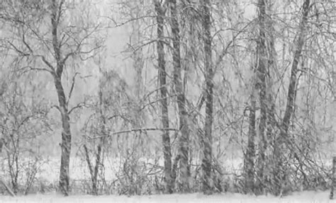 Snow falling gif collection of 20 free cliparts and images with a transparent background. Snowing Winter Animated Gifs at Best Animations