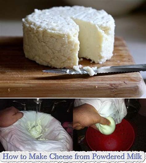 How To Make Cheese From Powdered Milk Homemade Cheese How To Make